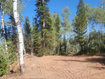 Photo 3 for 7823  John Freemont Dr