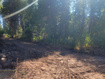 Photo 5 for 7823  John Freemont Dr