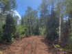 Photo 2 for 7823  John Freemont Dr