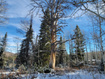 Photo 1 for 7823  John Freemont Dr