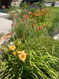 Photo 6 for 1689 E Kierstin Pl