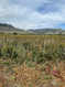 Photo 4 for 1458 N 6300 E