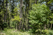 Photo 2 for 70  Matterhorn Dr