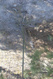 Photo 5 for Address Not Available