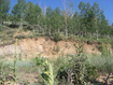 Photo 3 for 4  Aspen Cove Dr