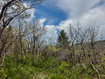 Photo 6 for 9395  Ridge Pine Rd