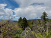 Photo 4 for 9395  Ridge Pine Rd