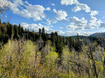 Photo 1 for 3400 S Blue Spruce Dr