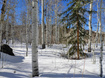 Photo 4 for 3400 S Blue Spruce Dr