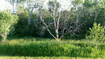 Photo 5 for 2005  Little Valley Rd