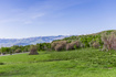 Photo 1 for 1509  Preserve Dr