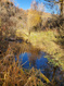 Photo 3 for 6158  Creekside Dr