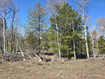 Photo 6 for 4900 Arrowhead Dr
