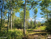 Photo 4 for 4482 S Aspen Hollow Rd