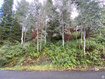 Photo 2 for 551  Red Fir Way