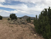 Photo 6 for 1183 N Overlook Dr