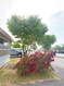 Photo 2 for 56 E Apollo Way