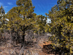 Photo 4 for 10650 W Zion Ridge Dr
