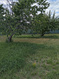 Photo 6 for 1006 S 1040 W