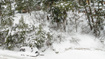 Photo 2 for 156  Lower Evergreen Dr