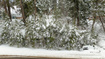 Photo 3 for 156  Lower Evergreen Dr