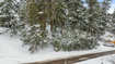 Photo 4 for 156  Lower Evergreen Dr
