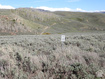 Photo 3 for 32 N Dry Valley Rd