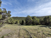 Photo 6 for 7825 W Mountain Top Rd