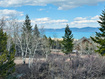 Photo 5 for 1115 S Lakeview Dr