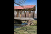 Photo 6 for 29706  Old Lincoln Hwy