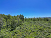Photo 4 for 2980 N Wolf Creek Ranch Rd