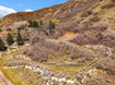 Photo 6 for 5924 S Spring Canyon Rd