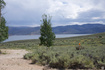 Photo 6 for 9079  Soldier Way #22