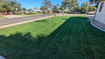 Photo 2 for 252 N Highland Dr
