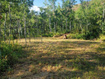 Photo 1 for 11666  Sunridge Cir