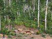 Photo 3 for 5762  Aspen Way