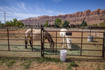 Photo 1 for 4147 S Spanish Valley Dr