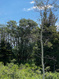 Photo 6 for 138  Stake Properties Rd Bm