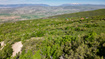 Photo 3 for 23206 N 14136 E