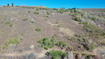 Photo 4 for 23206 N 14136 E