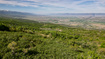 Photo 4 for 23206 N 14136 E