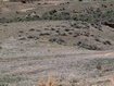 Photo 5 for 1972 E Goose Ranch Rd