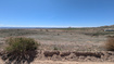 Photo 5 for 2042 E Goose Ranch Rd
