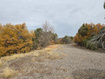Photo 6 for 442  Park Dr