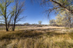 Photo 4 for 8855 E Hwy 40