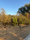 Photo 3 for N Pleasant View Dr