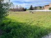 Photo 6 for 1676 S Lakewood Dr