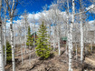 Photo 5 for 11233  Maple Dr #17a