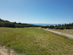 Photo 5 for 55  Timber Ridge Rd