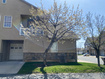Photo 2 for 948  Shetland Ln #17
